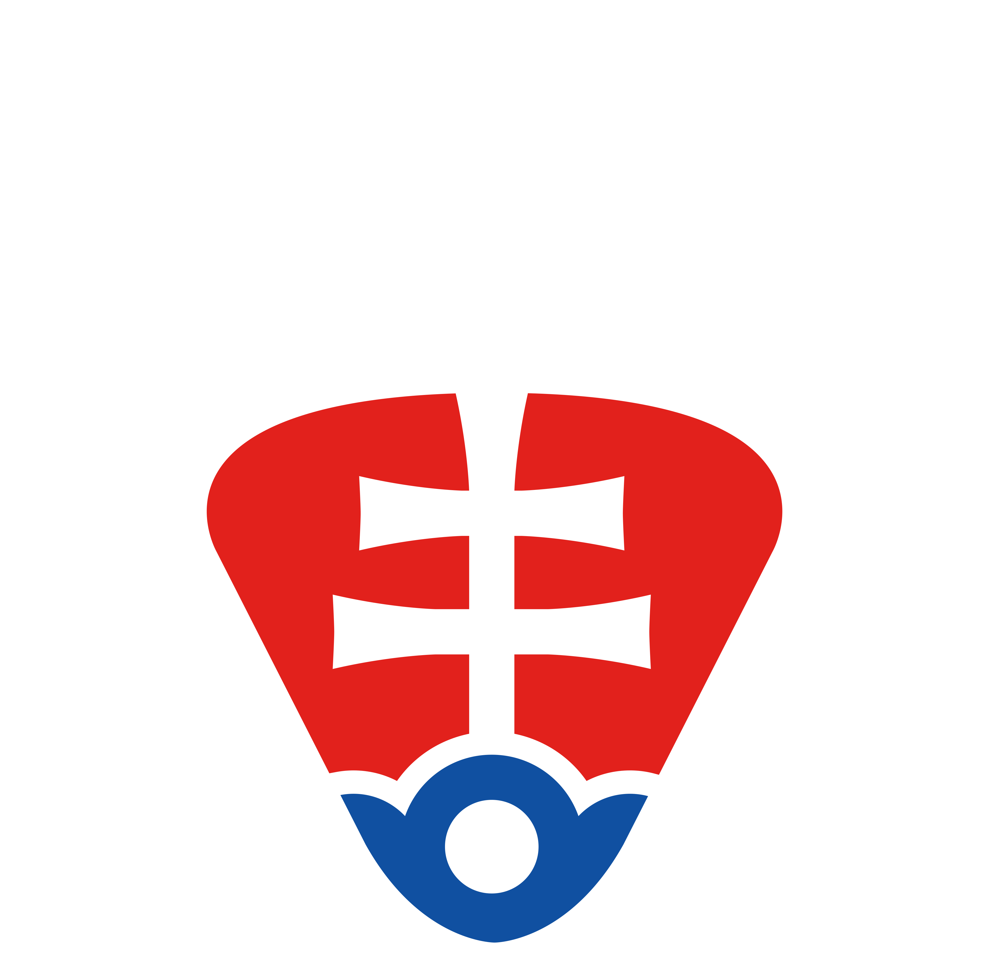 SLOVENSKÁ LAKROSOVÁ FEDERÁCIA